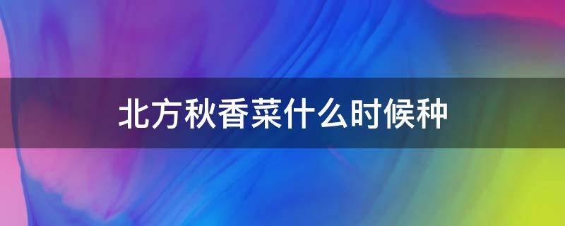 北方秋香菜什么时候种 北方秋香菜什么时候种植