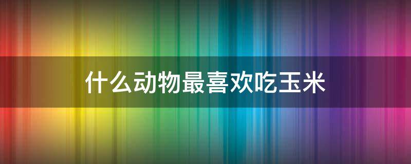 什么动物最喜欢吃玉米 什么动物最喜欢吃玉米面