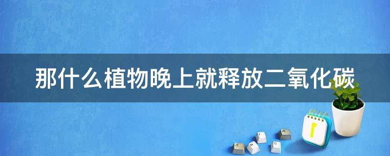 那什么植物晚上就释放二氧化碳 什么植物晚上释放氧气还是二氧化碳