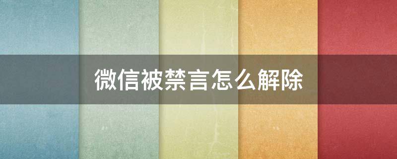 微信被禁言怎么解除 微信被禁言怎么解除恢复正常状态