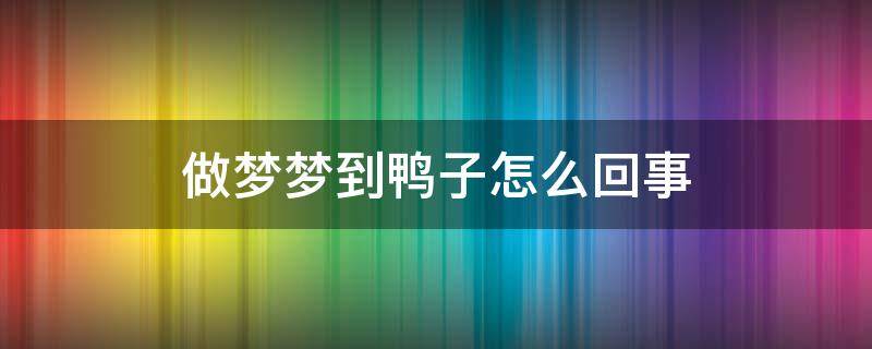 做梦梦到鸭子怎么回事 做梦梦到鸭子好不好