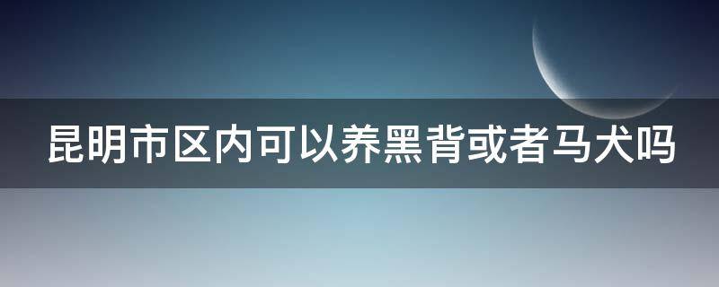 昆明市区内可以养黑背或者马犬吗 昆明市区内可以养黑背或者马犬吗现在