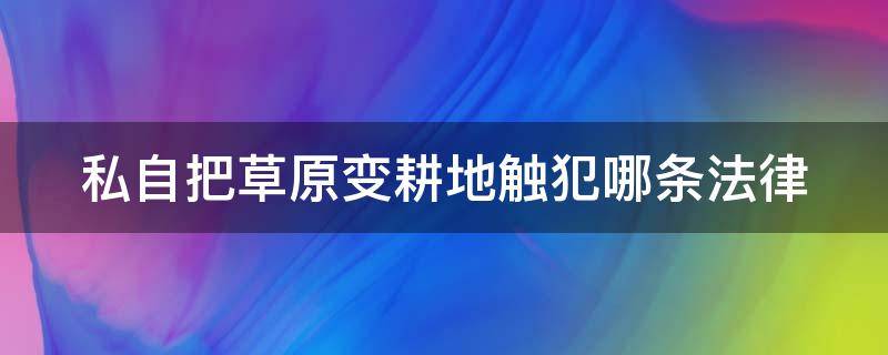 私自把草原变耕地触犯哪条法律 私自把草原变耕地触犯哪条法律