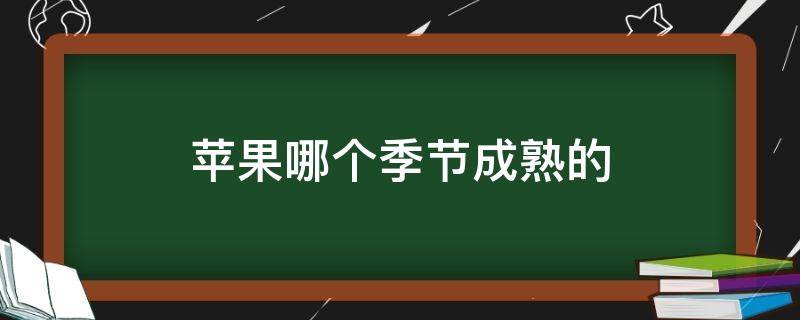 苹果哪个季节成熟的（苹果哪个季节成熟的最多）