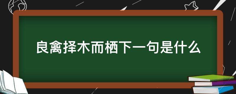 良禽择木而栖下一句是什么 良禽择木而栖下一句是什么热