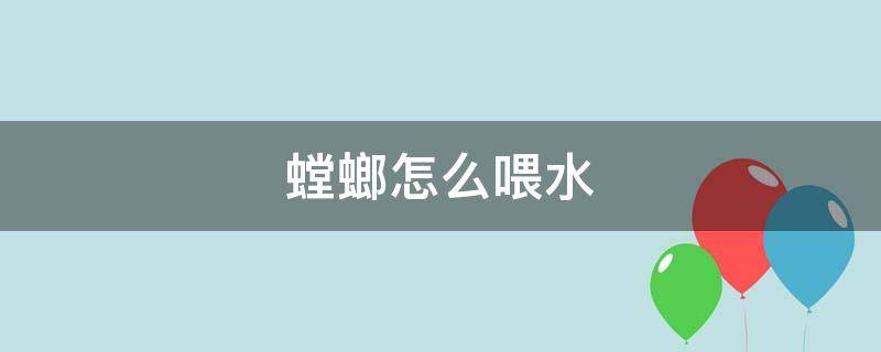 螳螂怎么喂水（如何给螳螂喂食）