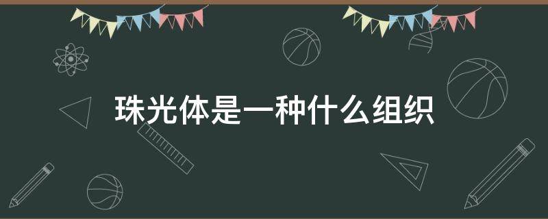 珠光体是一种什么组织（珠光体是一种什么组织结构）