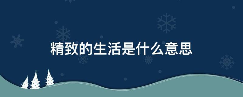 精致的生活是什么意思（精致的生活是什么意思是什么）