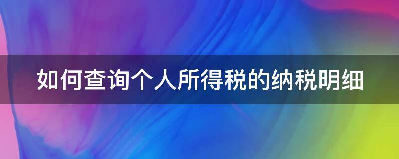 如何查询个人所得税的纳税明细（怎样查询个人所得税纳税记录）