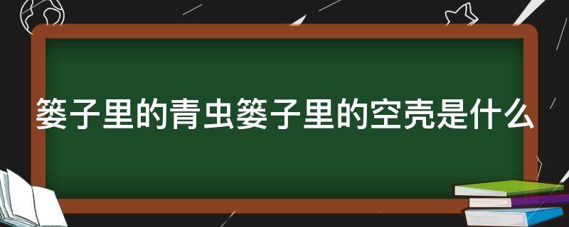 篓子里的青虫篓子里的空壳是什么 篓子里的青虫篓子里的空壳是什么?