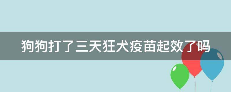 狗狗打了三天狂犬疫苗起效了吗 狗狗打狂犬疫苗三天可以洗澡吗?