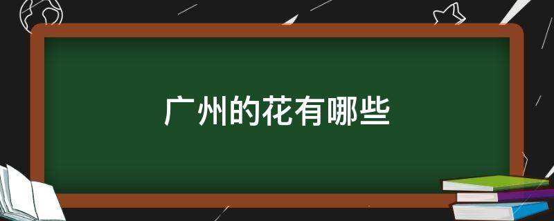 广州的花有哪些 广州的花有哪些的图片