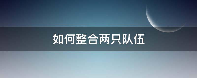 如何整合两只队伍（2个团队合并如何整合）