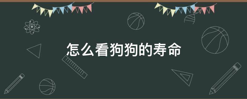 怎么看狗狗的寿命 怎么看狗狗的寿命多长