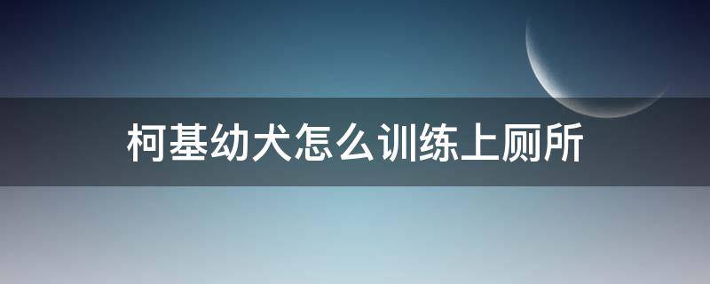 柯基幼犬怎么训练上厕所（怎么训练柯基幼犬大小便）