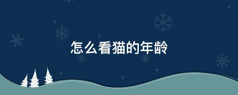 怎么看猫的年龄 怎么看猫的年龄多少了