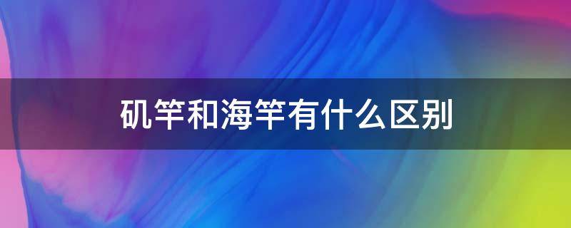 矶竿和海竿有什么区别 矶竿海竿有什么区别视频