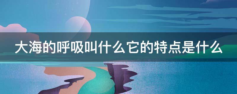 大海的呼吸叫什么它的特点是什么 大海的呼吸叫什么它的特点是什么和什么