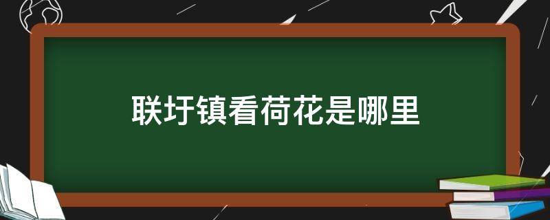 联圩镇看荷花是哪里 联圩镇看荷花是哪里人