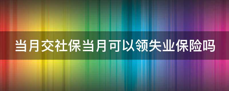 当月交社保当月可以领失业保险吗（当月交社保当月可以使用吗）