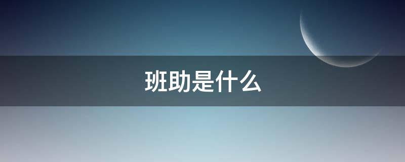 班助是什么 班助是什么意思