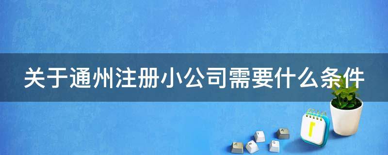 关于通州注册小公司需要什么条件（通州工商注册官网）