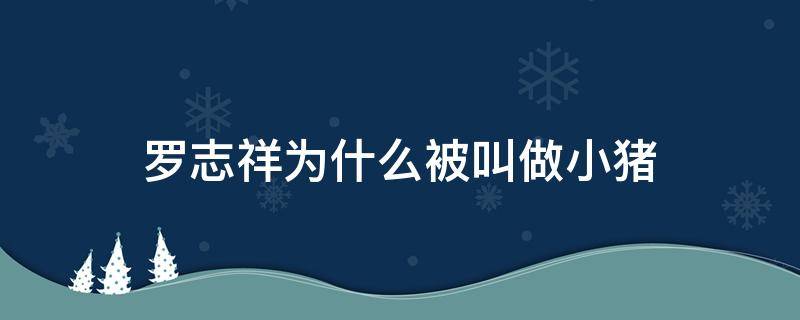 罗志祥为什么被叫做小猪 罗志祥为什么被叫做小猪呢