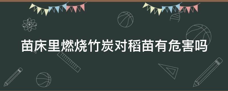 苗床里燃烧竹炭对稻苗有危害吗