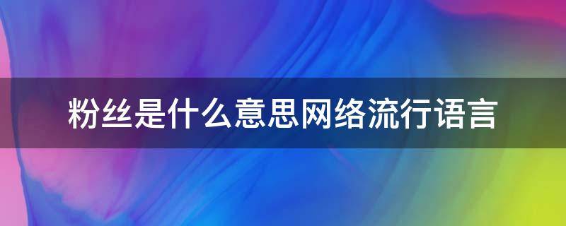 粉丝是什么意思网络流行语言 粉丝和关注的区别