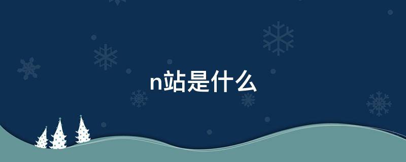 n站是什么（N站是什么站）