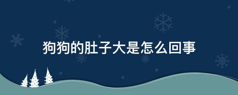 狗狗的肚子大是怎么回事 狗狗肚子大是怎么了