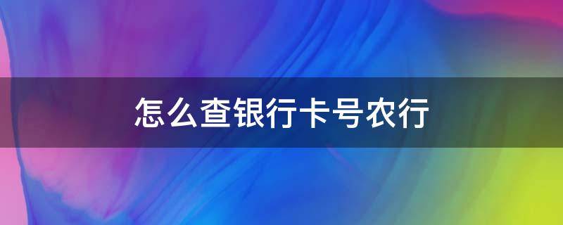 怎么查银行卡号农行（怎么查询银行卡号农行）