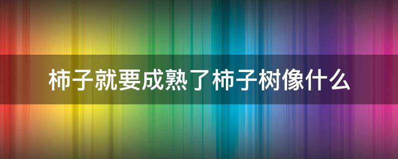 柿子就要成熟了柿子树像什么 柿子就要成熟了柿子树像什么似的