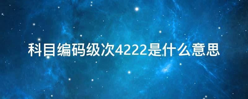 科目编码级次4222是什么意思（科目编码级次4222怎么打）