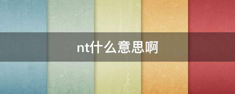 nt什么意思啊