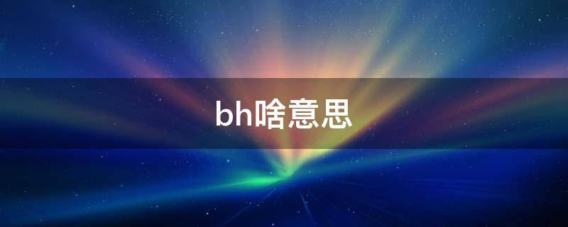 bh啥意思（bh是什么意思网络用词）