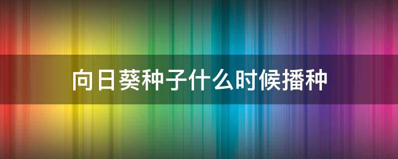 向日葵种子什么时候播种 向日葵种子什么时候播种比较好