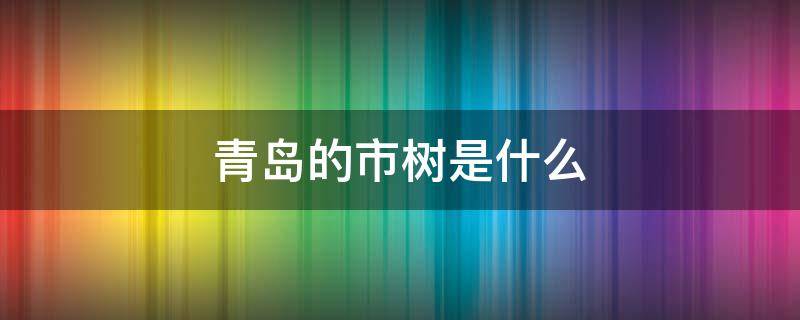 青岛的市树是什么 青岛的市树是什么图片