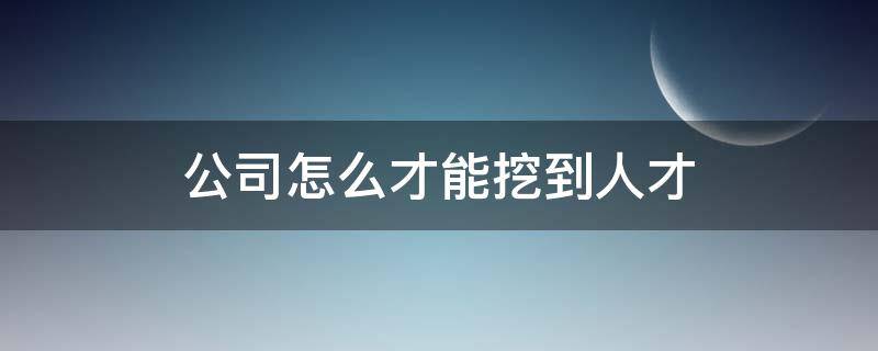 公司怎么才能挖到人才 怎么挖人才到小公司