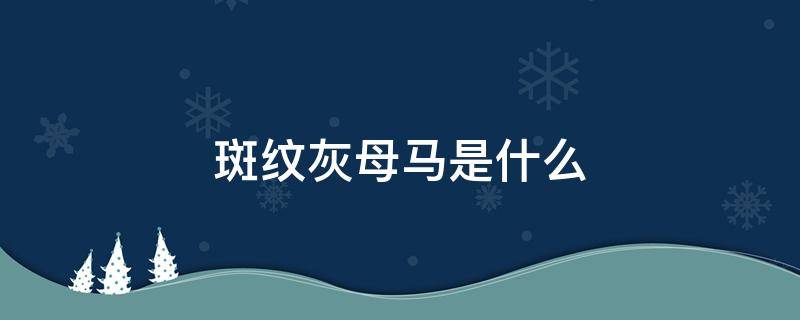 斑纹灰母马是什么 斑纹灰母马是什么院的守护神