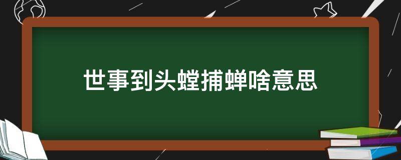 世事到头螳捕蝉啥意思（世事到头螳螂捕蝉什么意思）