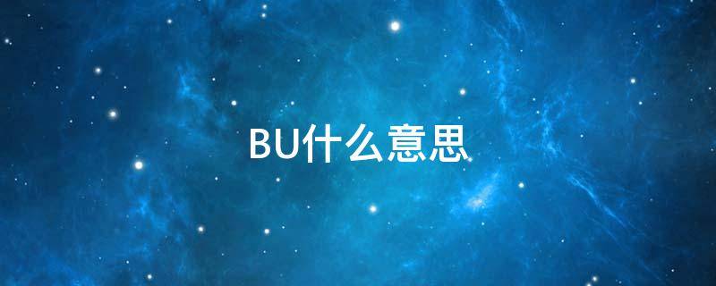 BU什么意思 埠什么意思