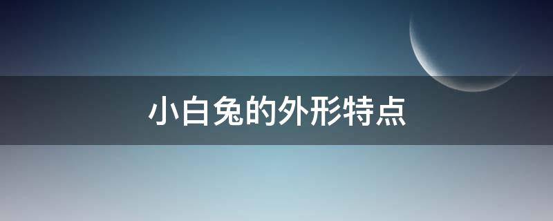 小白兔的外形特点（小白兔的外形特点简写60字）