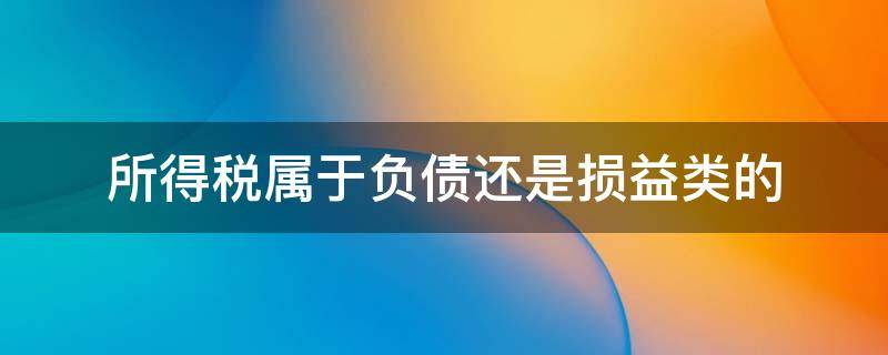 所得税属于负债还是损益类的 所得税属于负债还是所有者权益