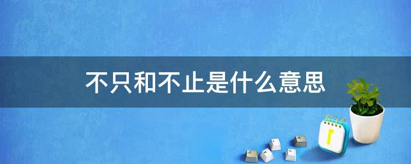 不只和不止是什么意思 不只和不只