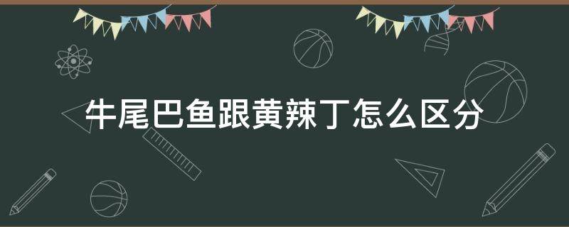 牛尾巴鱼跟黄辣丁怎么区分 牛尾巴鱼好吃还是黄辣丁好吃