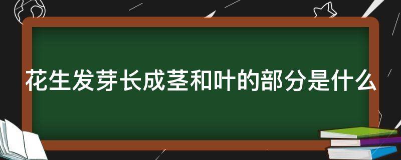 花生发芽长成茎和叶的部分是什么 花生发芽长成茎和叶的部分是什么结构