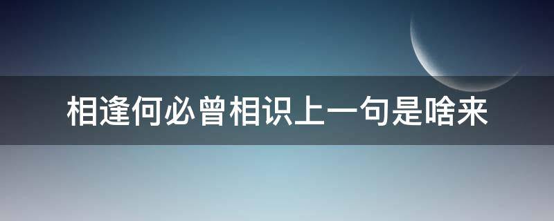 相逢何必曾相识上一句是啥来 相逢何必曾相识出自哪里?