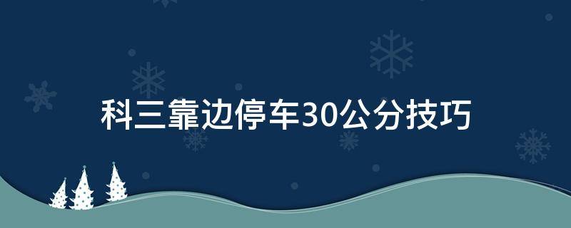 科三靠边停车30公分技巧 科三靠边停车30公分技巧图