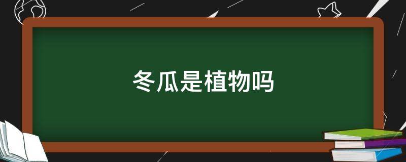 冬瓜是植物吗 冬瓜是植物吗还是蔬菜